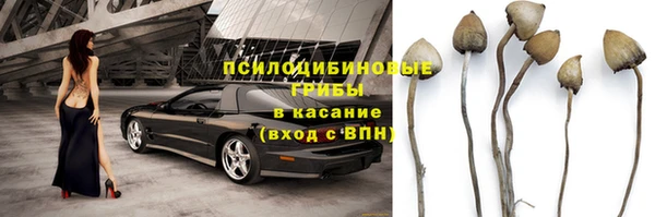 МДПВ Киренск