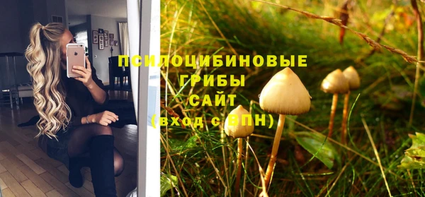 бошки Киреевск